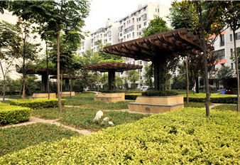 重庆 市政绿化公司